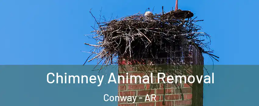 Chimney Animal Removal Conway - AR