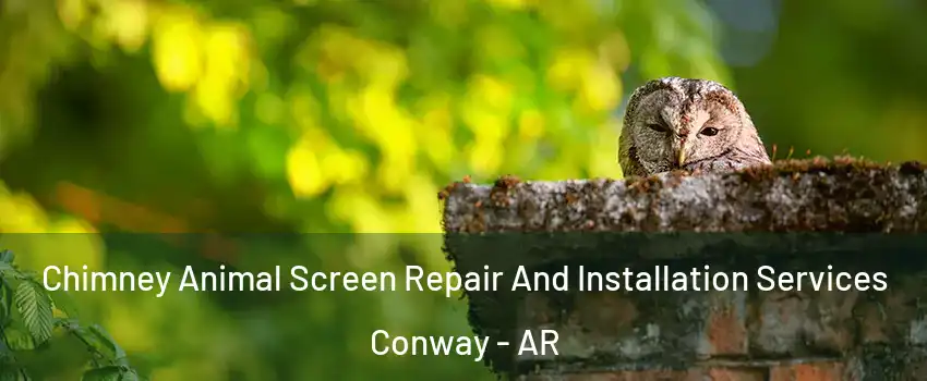  Chimney Animal Screen Repair And Installation Services Conway - AR