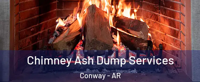  Chimney Ash Dump Services Conway - AR