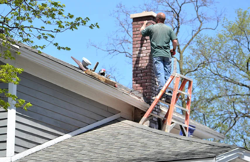 Chimney & Fireplace Inspections Services in Conway, AR