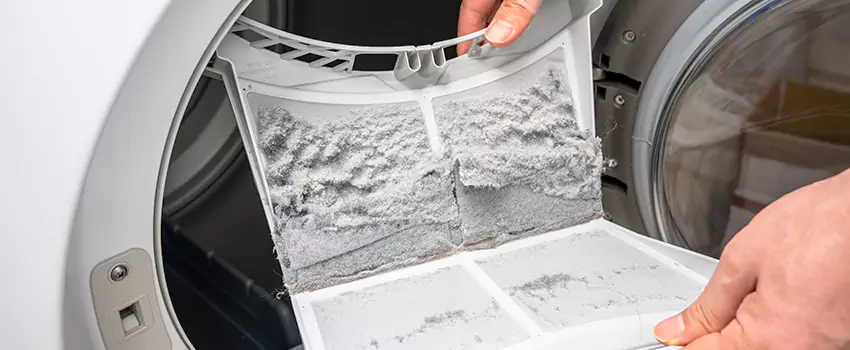 Best Dryer Lint Removal Company in Conway, Arkansas