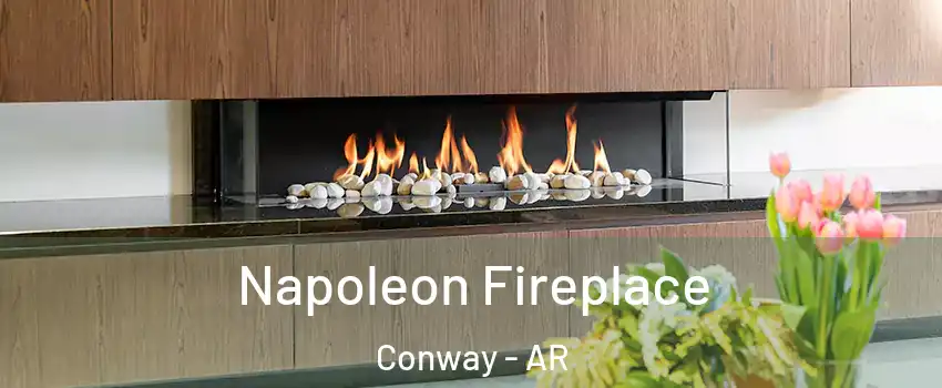  Napoleon Fireplace Conway - AR